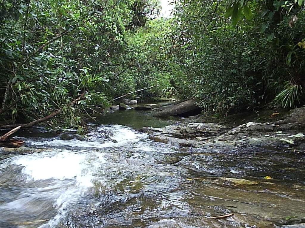 Hotel Canto Do Rio Maresias Kültér fotó